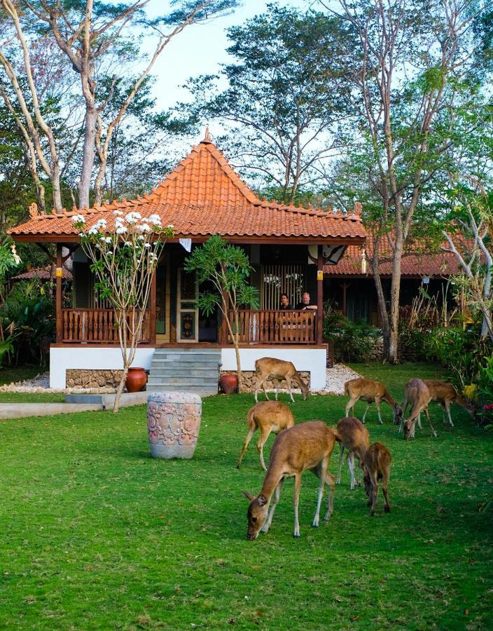 Plataran Menjangan Resort And Spa - Chse Certified Banyuwedang Номер фото